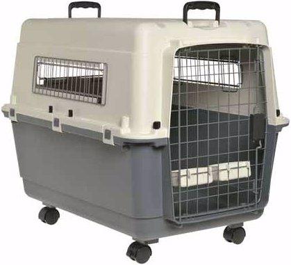 Actual product image AniOne Transport box plastic metal (Dog, Lockable)