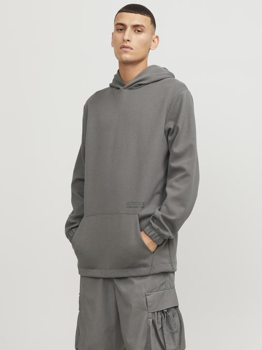 Image du produit Jack & Jones Jcoaltitude Sweat Hood Sn (S)