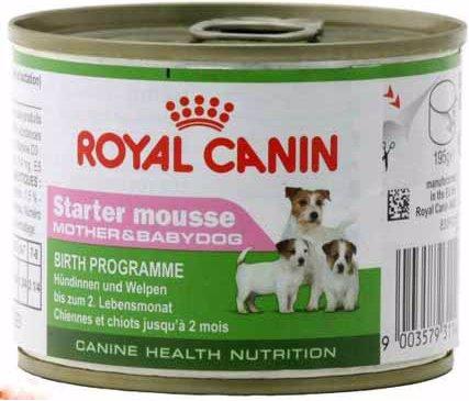 Royal Canin Starter Mousse (Junior, 1 Stk., 195 g)
