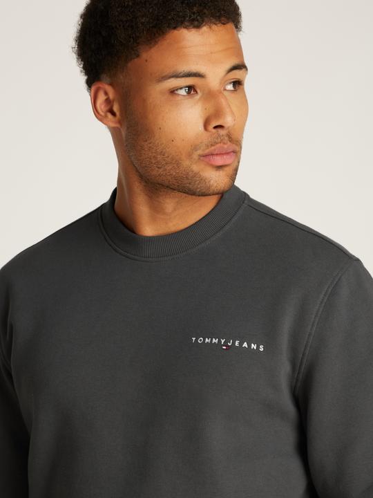 Immagine prodotto Tommy Jeans Tjm Reg Linear Crew Ext (L)