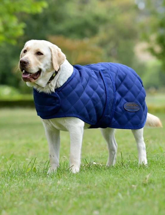 Actual product image Weatherbeeta Comfitec Deluxe Diamond (65, Dog coat)