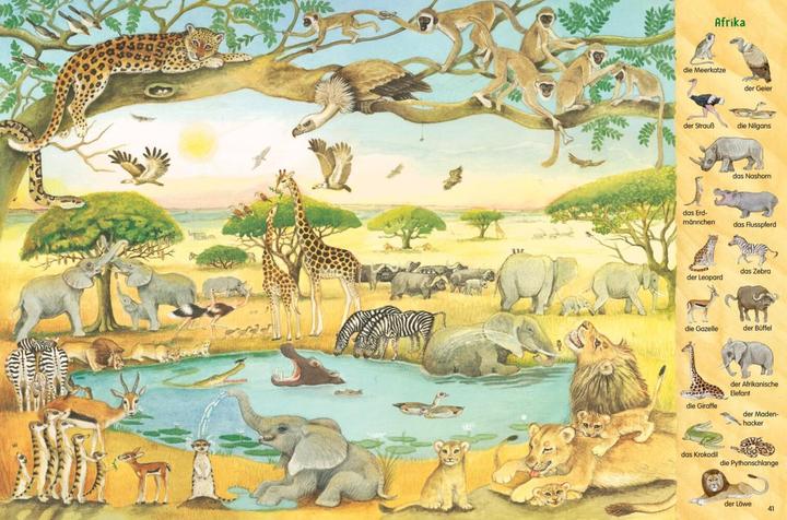 Productafbeelding Mein grosses Tiere-Wimmelbuch (Duits, Christine Henkel, 2021)