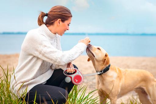 Actual product image Flexi New Comfort (XS, Dog, Walks)