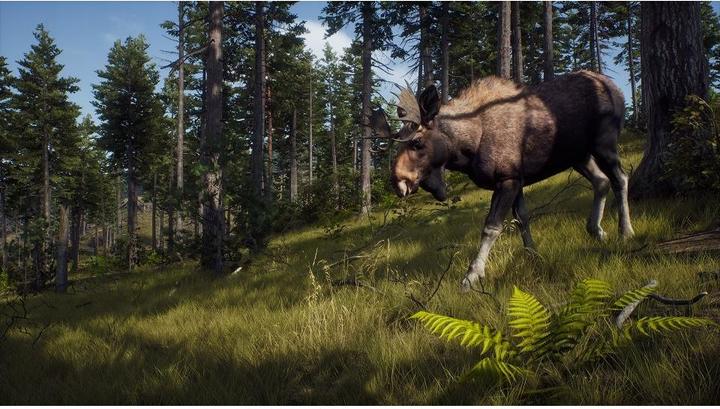 Produktbild THQ Way of the Hunter (Xbox Series X, DE)