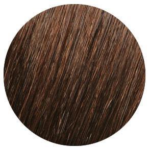 Showpony - 20" 7 PIECE CLIP IN BOXSET- BROWN