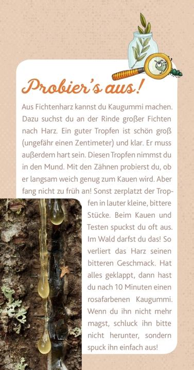 Produktbild Peter & Piet. Meine grossen Waldexperimente (Spiel) (Deutsch, Peter Wohlleben, 2019)