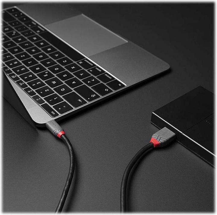 Produktbild Lindy USB 3.2 Typ C an Micro-B Kabel, Anthra Line (0.50 m)