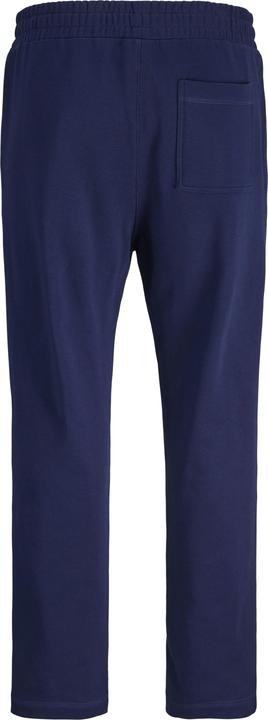 Actual product image Jack & Jones Junior Hose KANE NORREBRO Sweathose (152)
