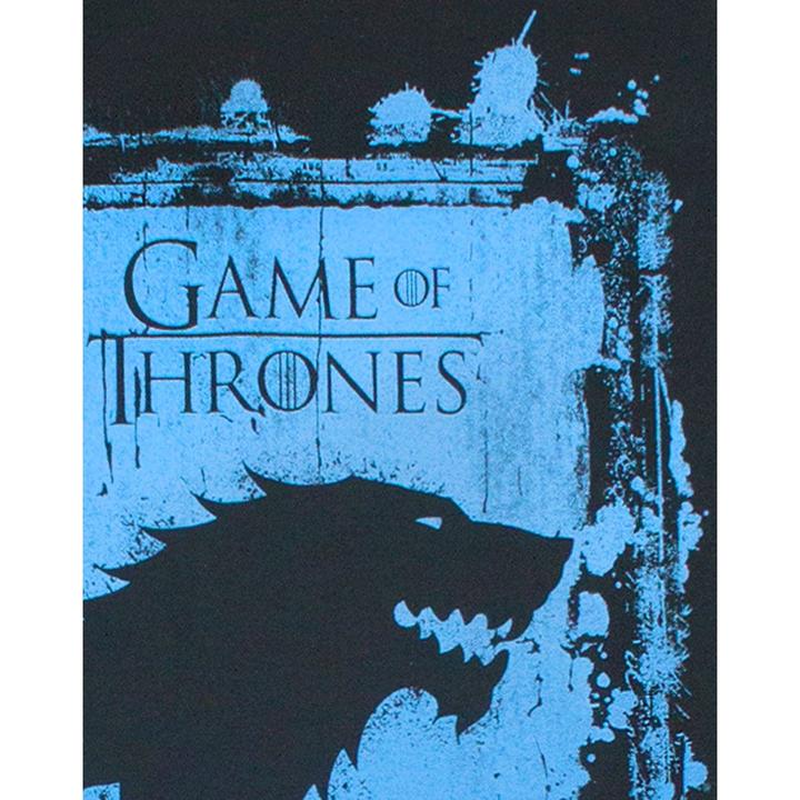 Actual product image Game of Thrones Tshirt (L)