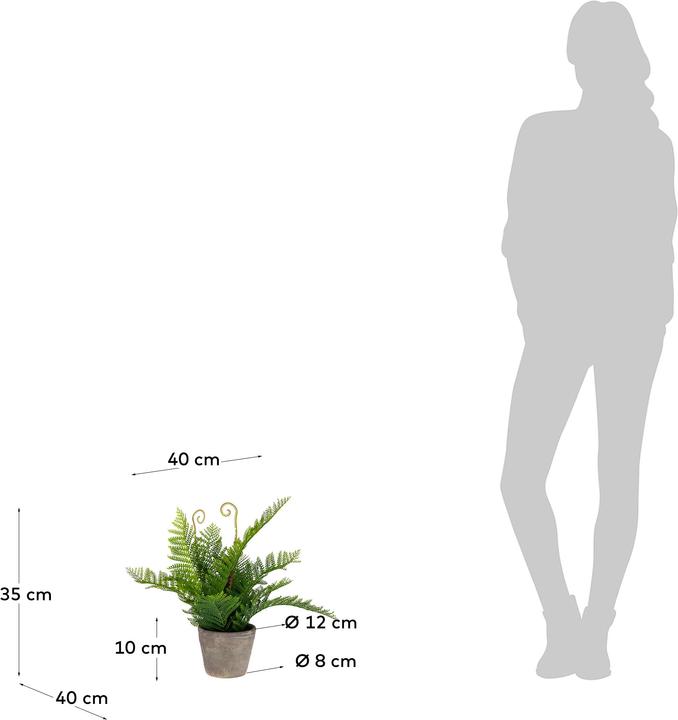 Actual product image Kave Home Filicopsida (35 cm)