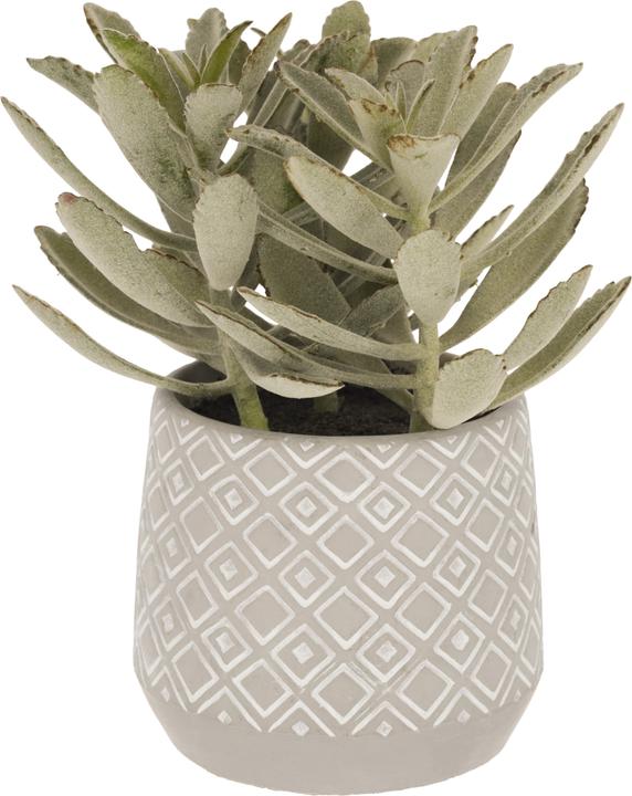 Produktbild Kave Home Kalanchoe (23 cm)