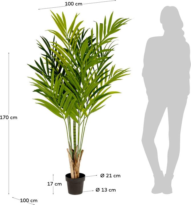 Produktbild Kave Home Palmera (179 cm)