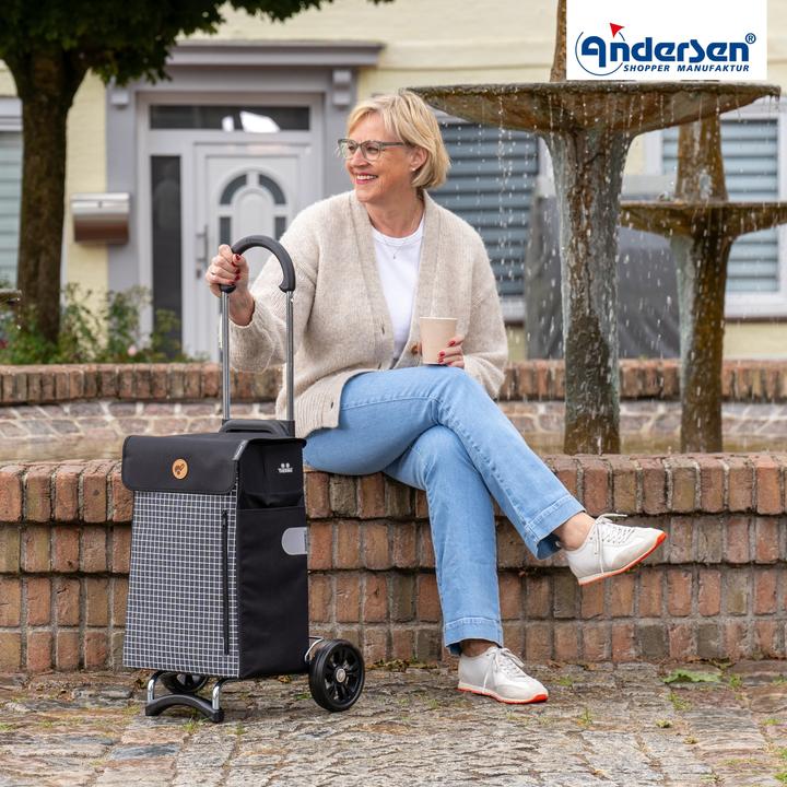 Image du produit Andersen Scala Shopper Hente chariot à provisions 48 cm