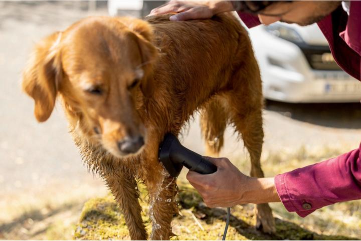 Produktbild Kärcher Professional Waschbürste Tierhaar