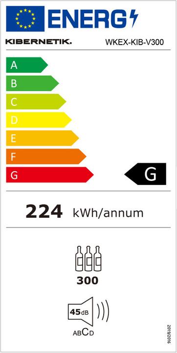 Energie-Label Kibernetik V300