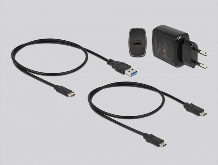 Actual product image Delock Docking and cloning station USB-C - 2x M.2 SATA