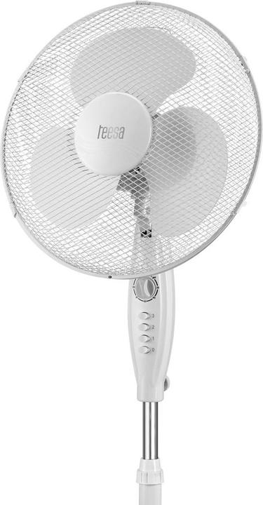 Actual product image Teesa Fan