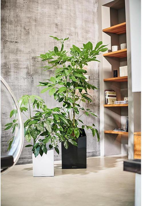 Actual product image Lechuza Premium Collection CURSIVO 30 all in one black high gloss (30 cm)
