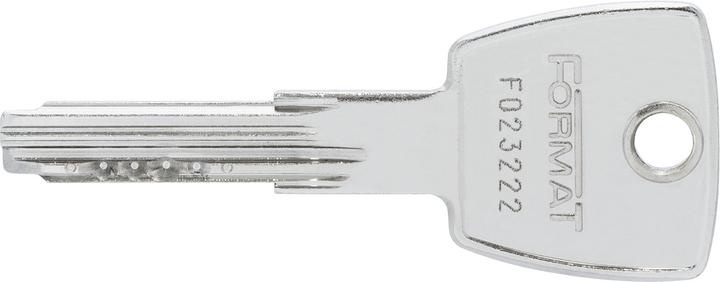 Abus Format Profilzylinder BG66N N+G, 50-50 mm, inkl. 5 Wendeschlüsseln (Profile cylinder)