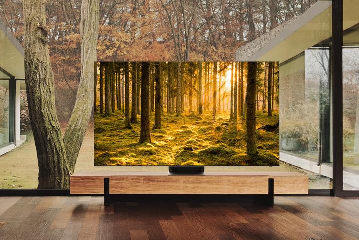 Image du produit Samsung QE75QN900B (75", QN900B, NeoQLED, 8K, 2022)