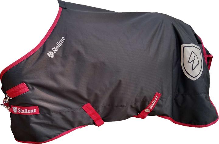Actual product image Stallone Boston rain cover (155 cm)