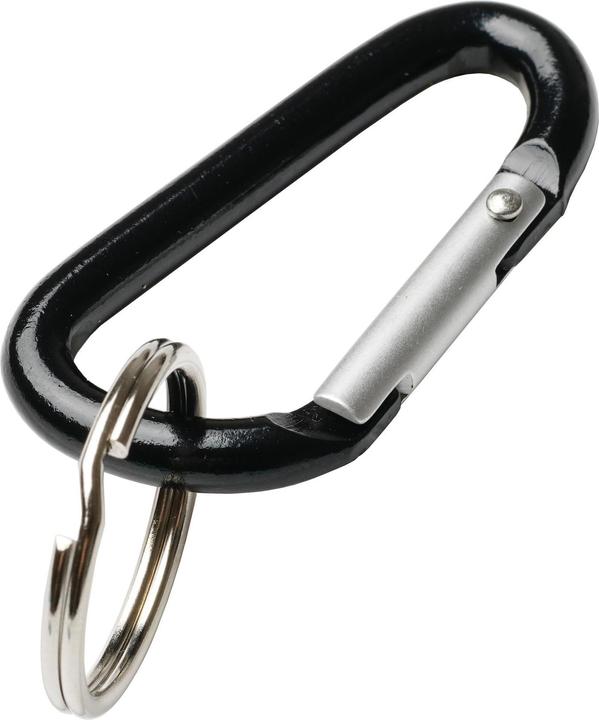 Actual product image Rieffel Aluminium key carabiner 8060/50 SB/2