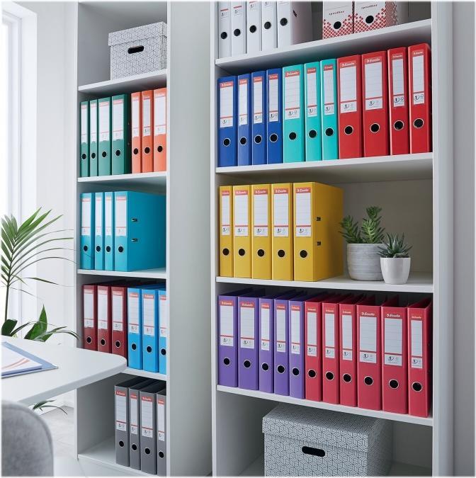 Actual product image Esselte Lever arch file plastic (A4, 75 mm, 1 Piece)