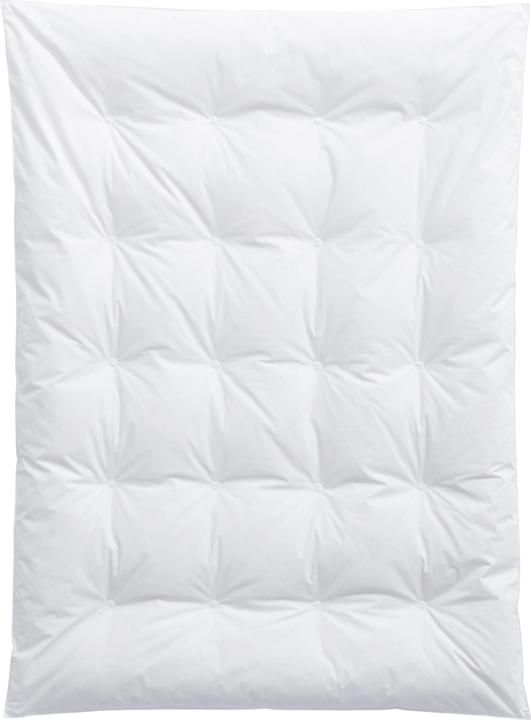 Image du produit Billerbeck Sandra (100 x 135 cm)