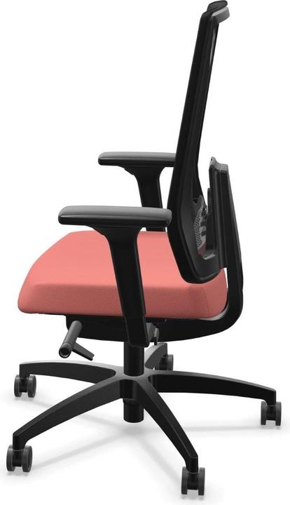 Actual product image Dauphin Indeed Mesh