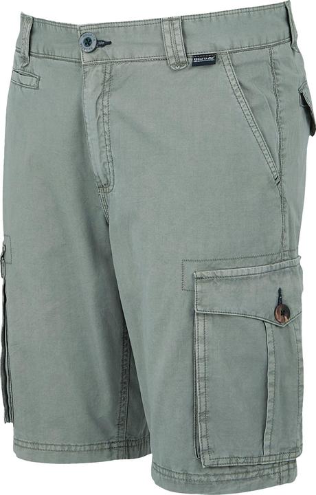 Actual product image Regatta Mens Ruwan Casual Shorts (56)