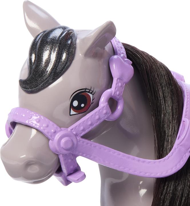 Produktbild Barbie Family & Friends Chelsea und Pony