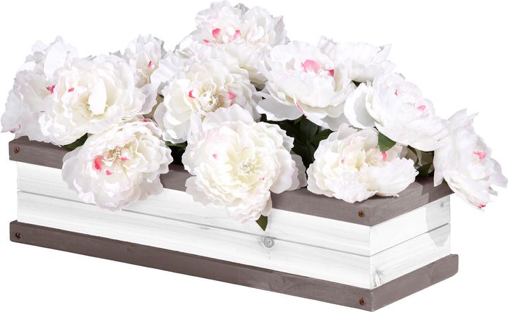 Image du produit Axi Blumenkasten