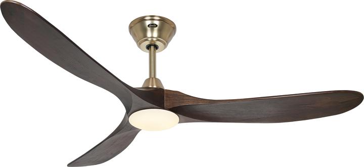 Brass brushed, Nut