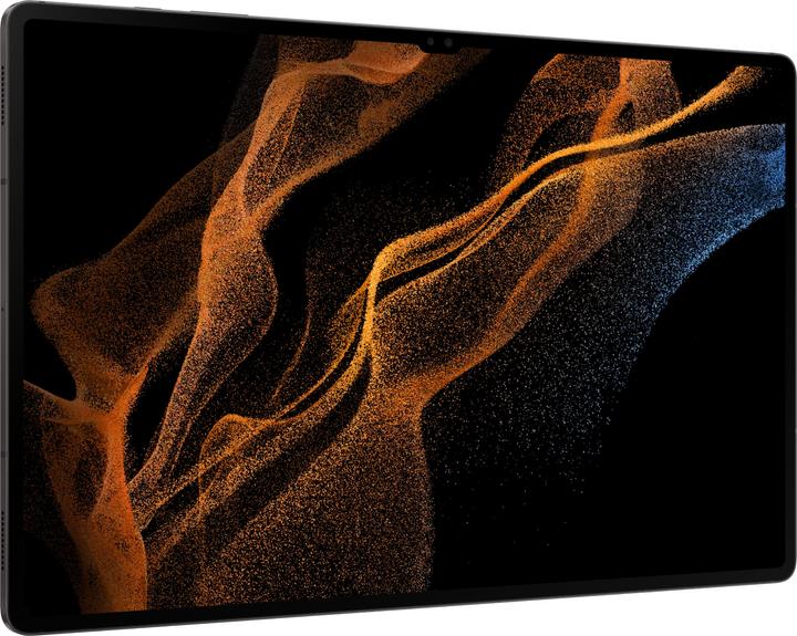 Actual product image Samsung Galaxy Tab S8 Ultra (WLAN only, 14.60", 256 GB, Graphites)