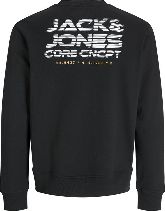 Actual product image Jack & Jones Jcovibrant Sweat Crew Neck Styd Aw24 (XL)