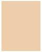 Image du produit NYX Professional Make-Up Poudre Can't Stop Won't Stop Mattifying 02 Light (02 Light)