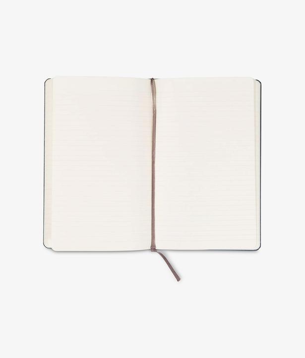 Actual product image Moleskine Notebook Classic Large (A5, Lined, Hardcover)