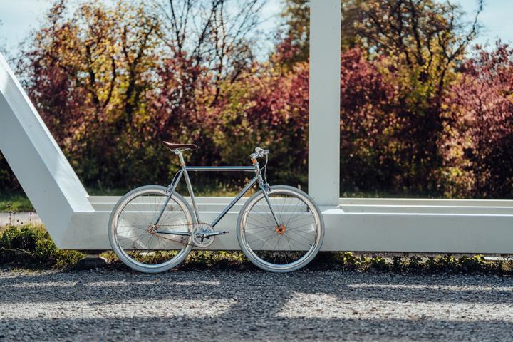 Actual product image Siech Cycles Fixie Bike (58 cm)