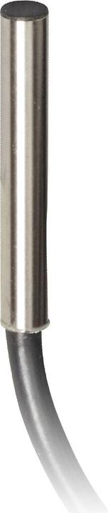 Schneider Electric XS606B3CAL2 (Schalter)