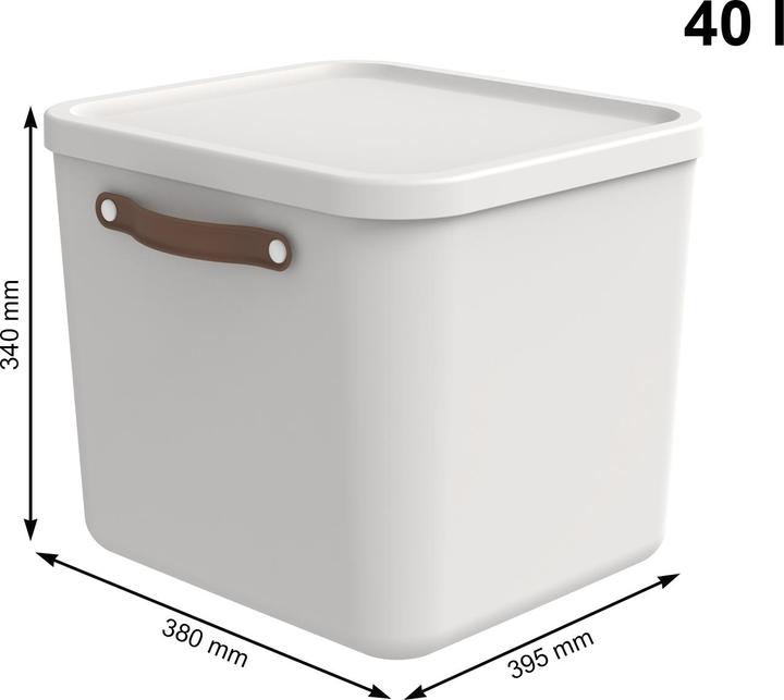 Immagine prodotto Rotho Maloja (39,5 x 38 x 34 cm, 40 l)