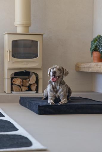 Productafbeelding Designed by Lotte Orthopedisch kooikussen Geribd (Hond)