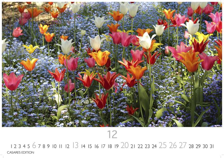 Produktbild Blumenwiese 2026 L 35x50cm (35 x 50 cm, Deutsch)