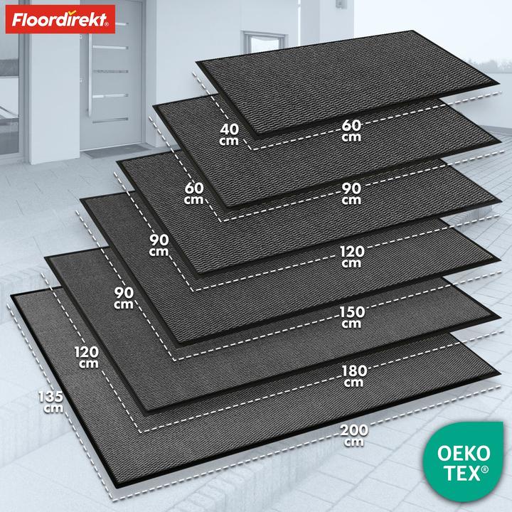 Produktbild Floordirekt Schmutzfangmatte SKY Novo (90 x 150 cm)