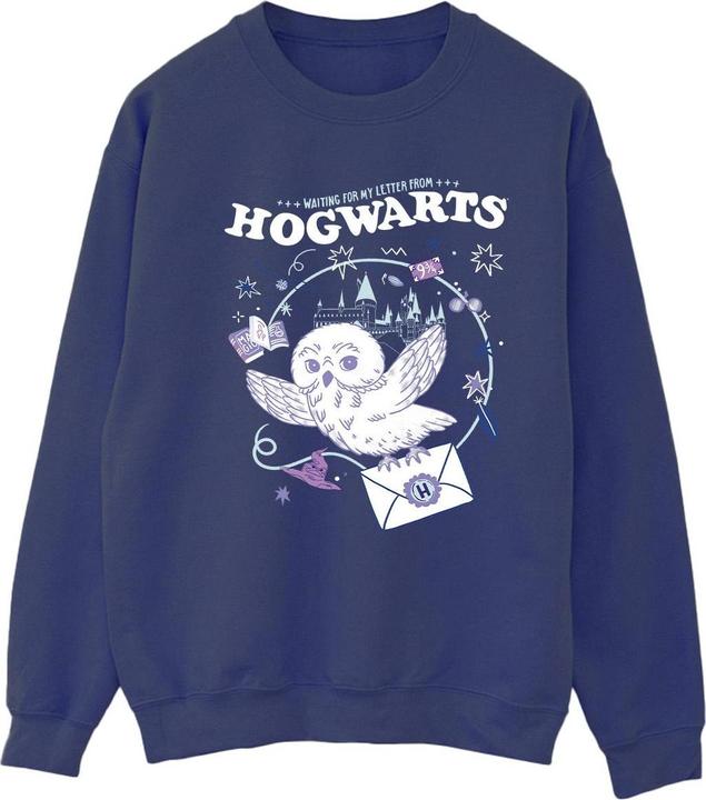 Owl Letter From Hogwarts Sweatshirt