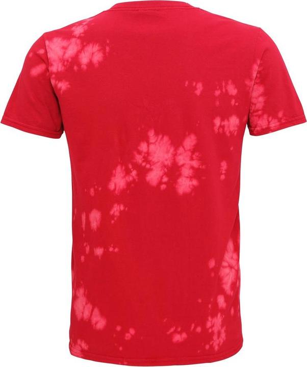 Produktbild Colortone Kvinnor Bleache Out TShirt (XXL)