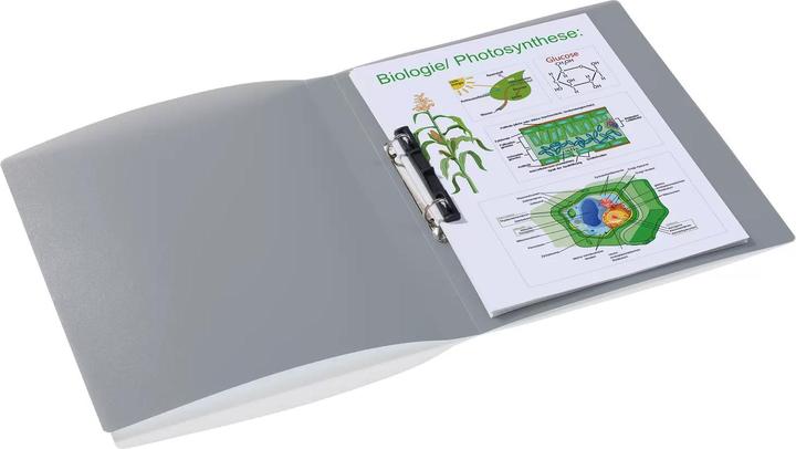 Immagine prodotto HERMA Raccoglitore ad anelli A4 traslucido (A4, 25 mm, 1 Pezzo/i)
