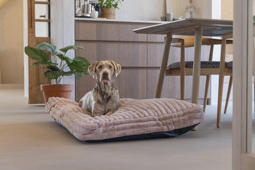 Produktbild Designed by Lotte Liegekissen Reza (Hund)
