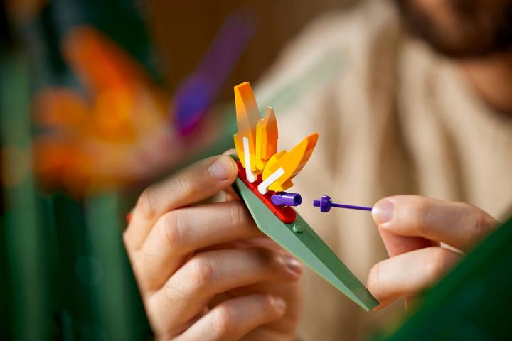 Image du produit LEGO Oiseau de Paradis (10289, LEGO difficiles à trouver)