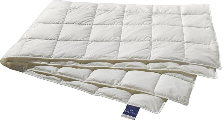 Billerbeck Down duvet Nena 306 Superlight extra light, filling: 100% goose down