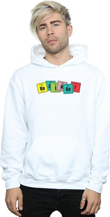 Immagine prodotto Dam Felpa con cappuccio Bazinga Elements Uomo (M)